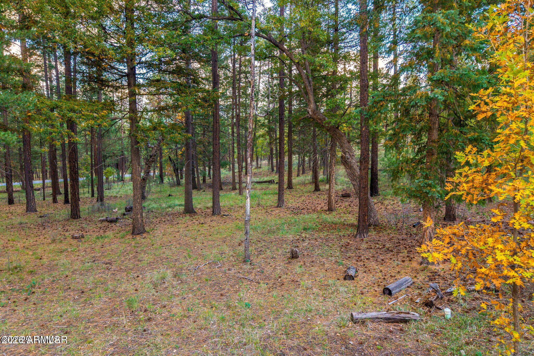 000 County Road 2196 74A, Alpine, AZ 85920