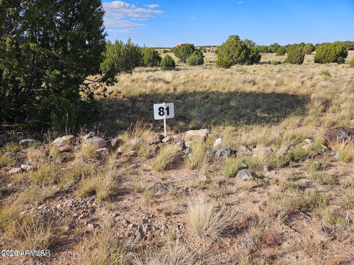 TBD ACR 8620 Lot 81 81, Concho, AZ 85924