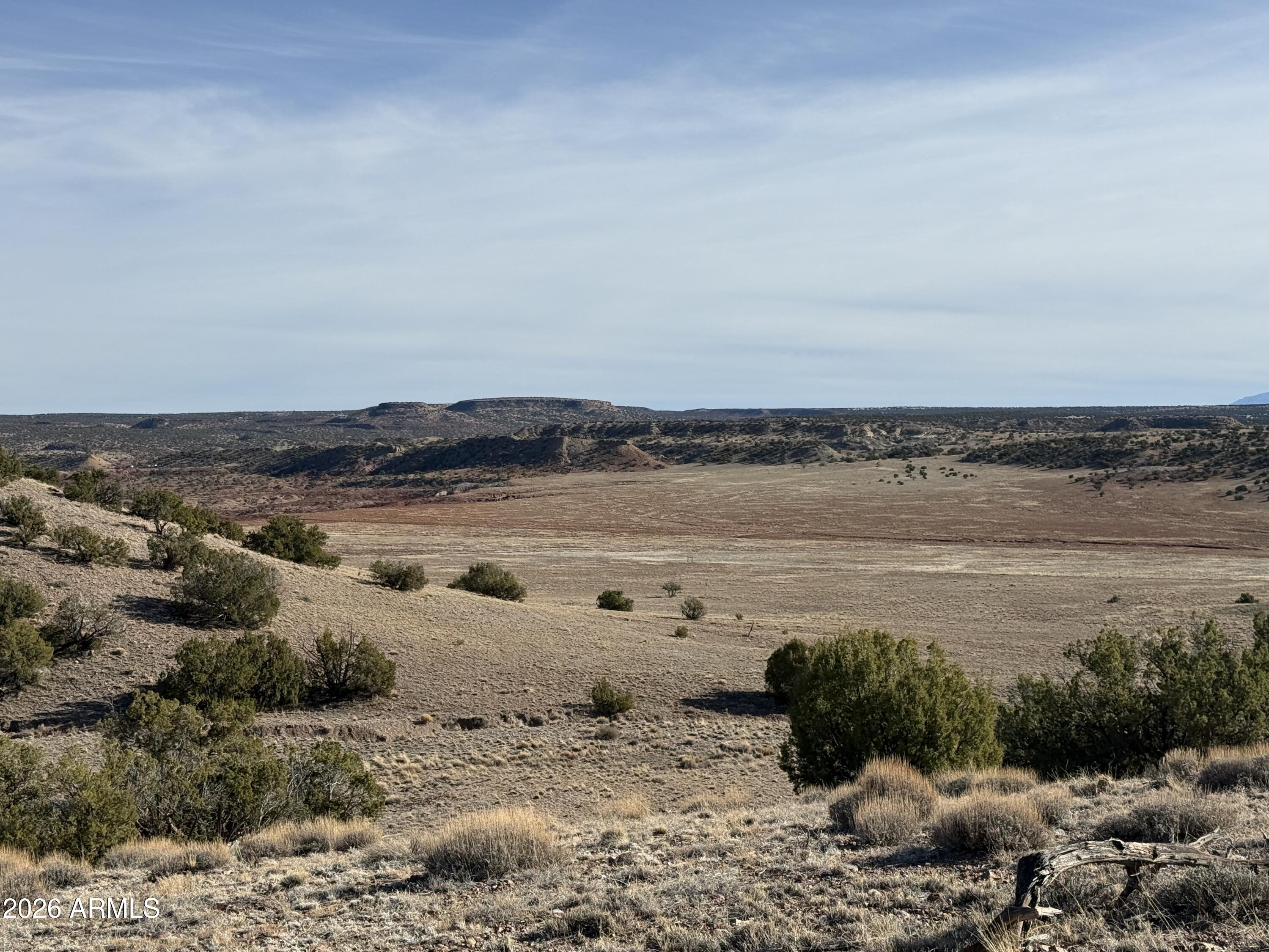 Lot 197 Unit 6 River Springs Ranch 197, St Johns, AZ 85936