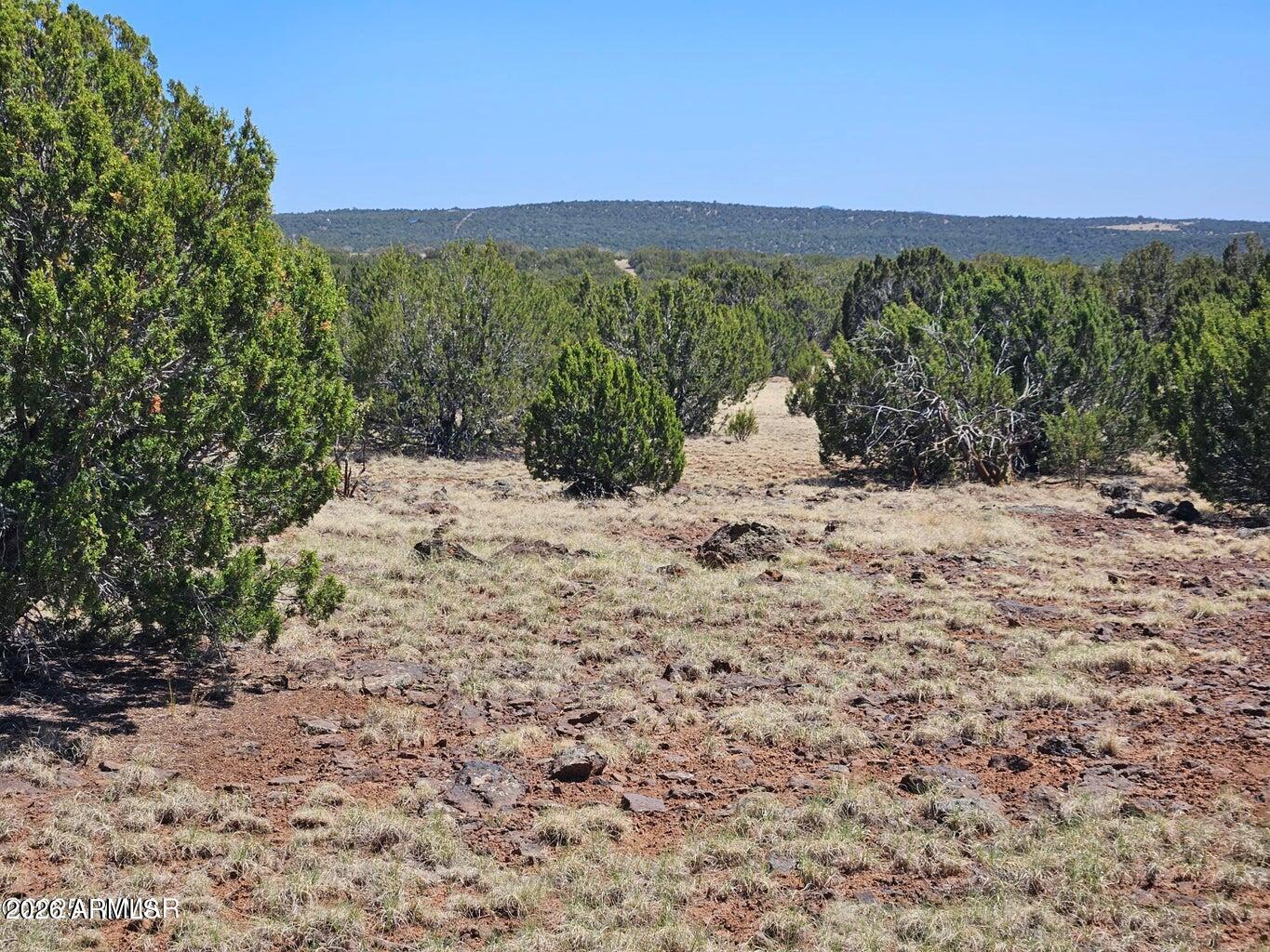 TBD ACR N8060 86, Concho, AZ 85924