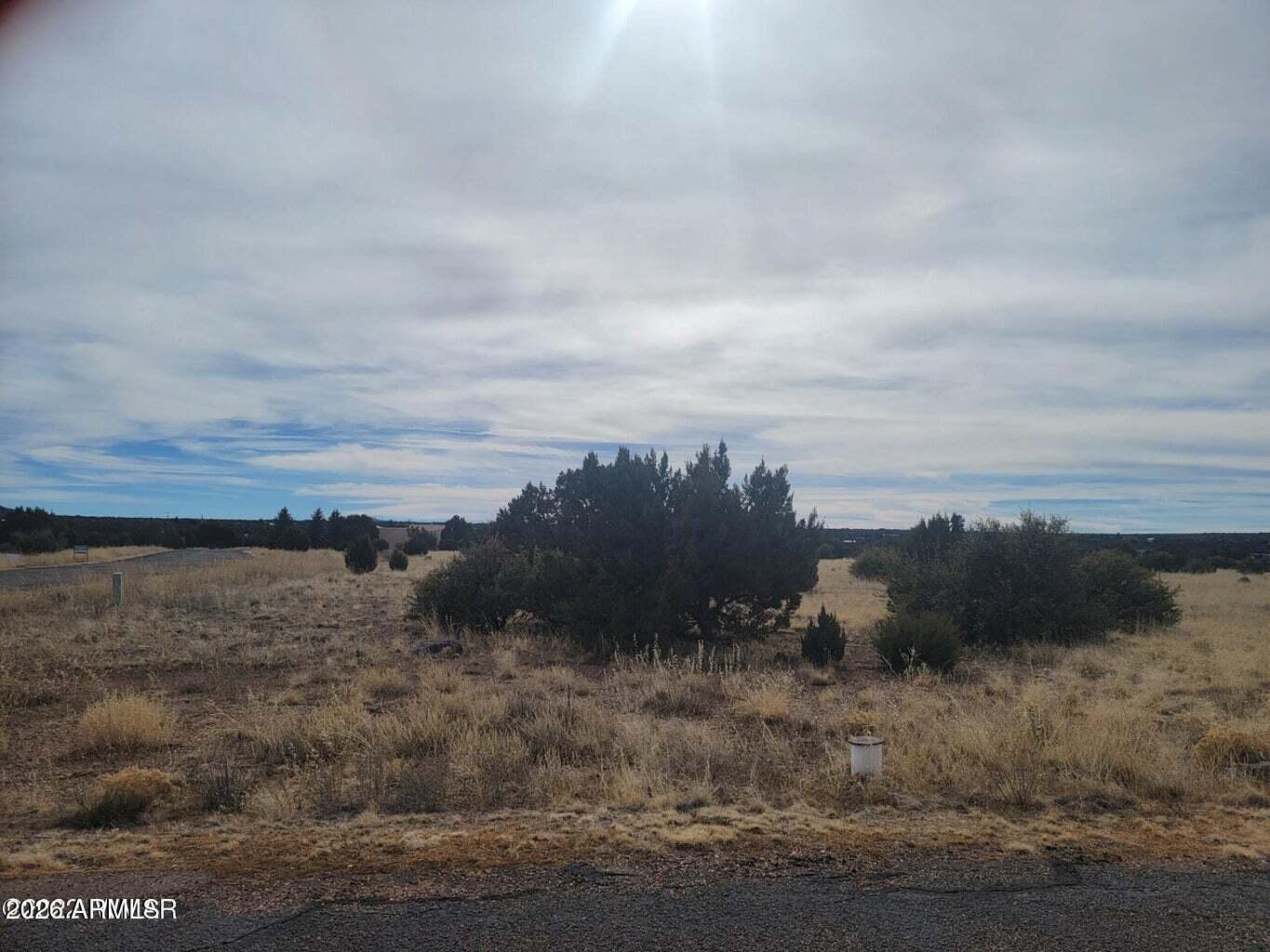 1961 Creekside Circle 074, Show Low, AZ 85901