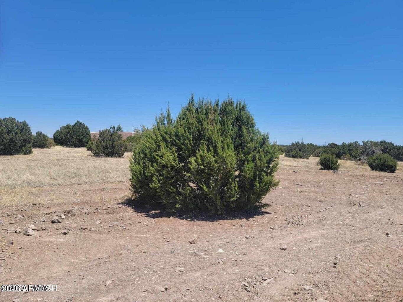 8430 LAKE VIEW Drive 79, Show Low, AZ 85901