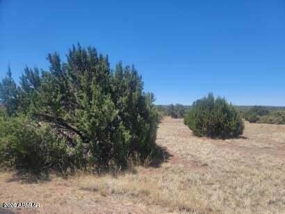 8435 LAKE VIEW Drive 84, Show Low, AZ 85901
