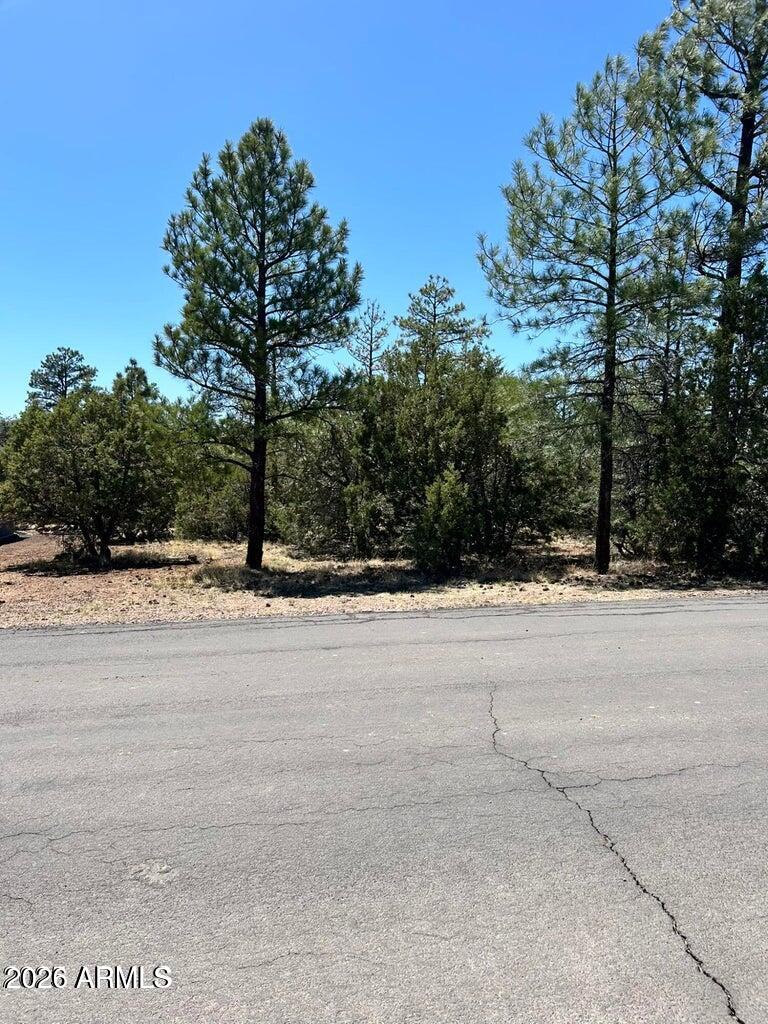 4864 BISON Trail 40, Lakeside, AZ 85929