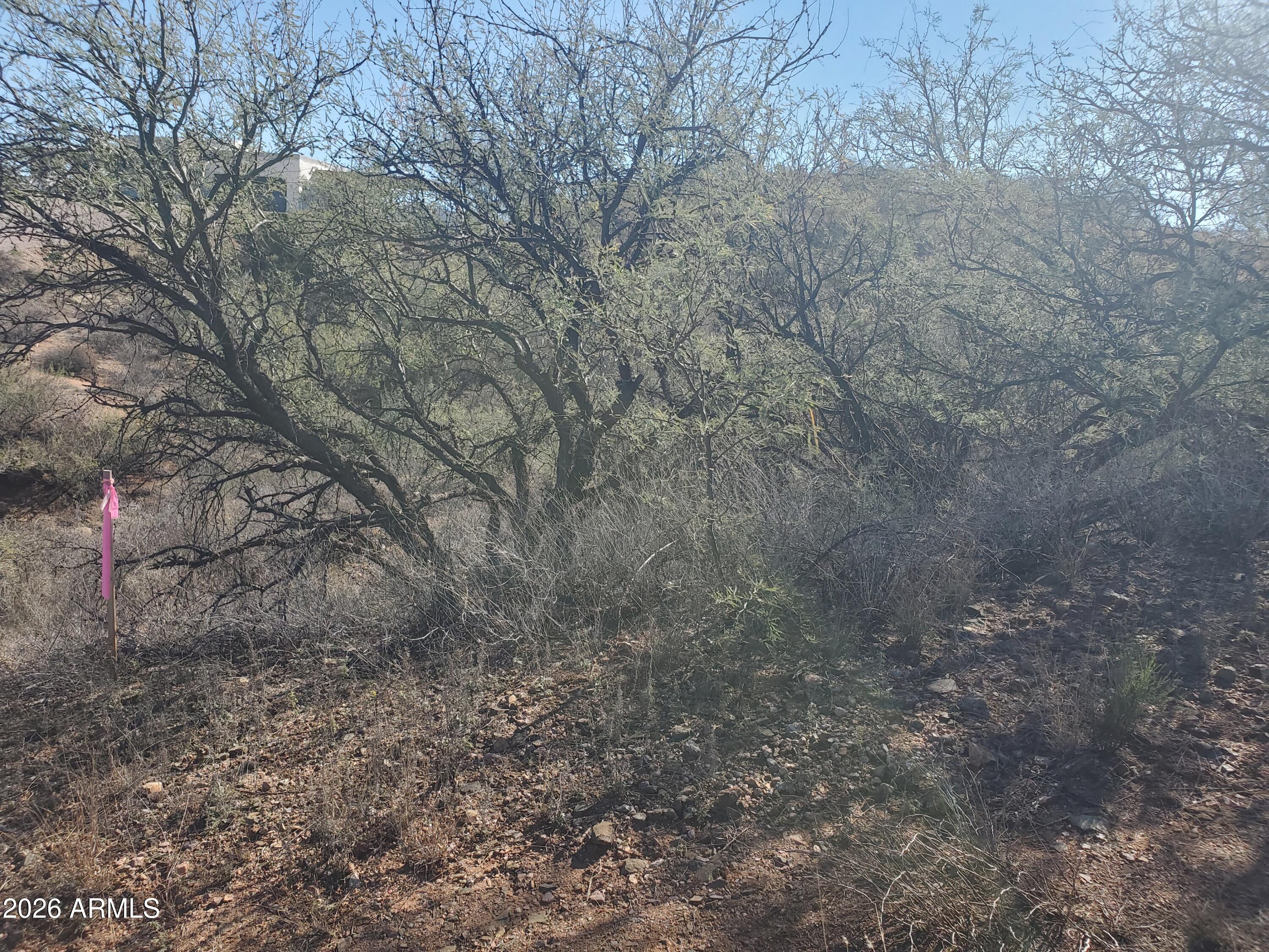 909 PASEO LOS MOCHIS 40, Rio Rico, AZ 85648