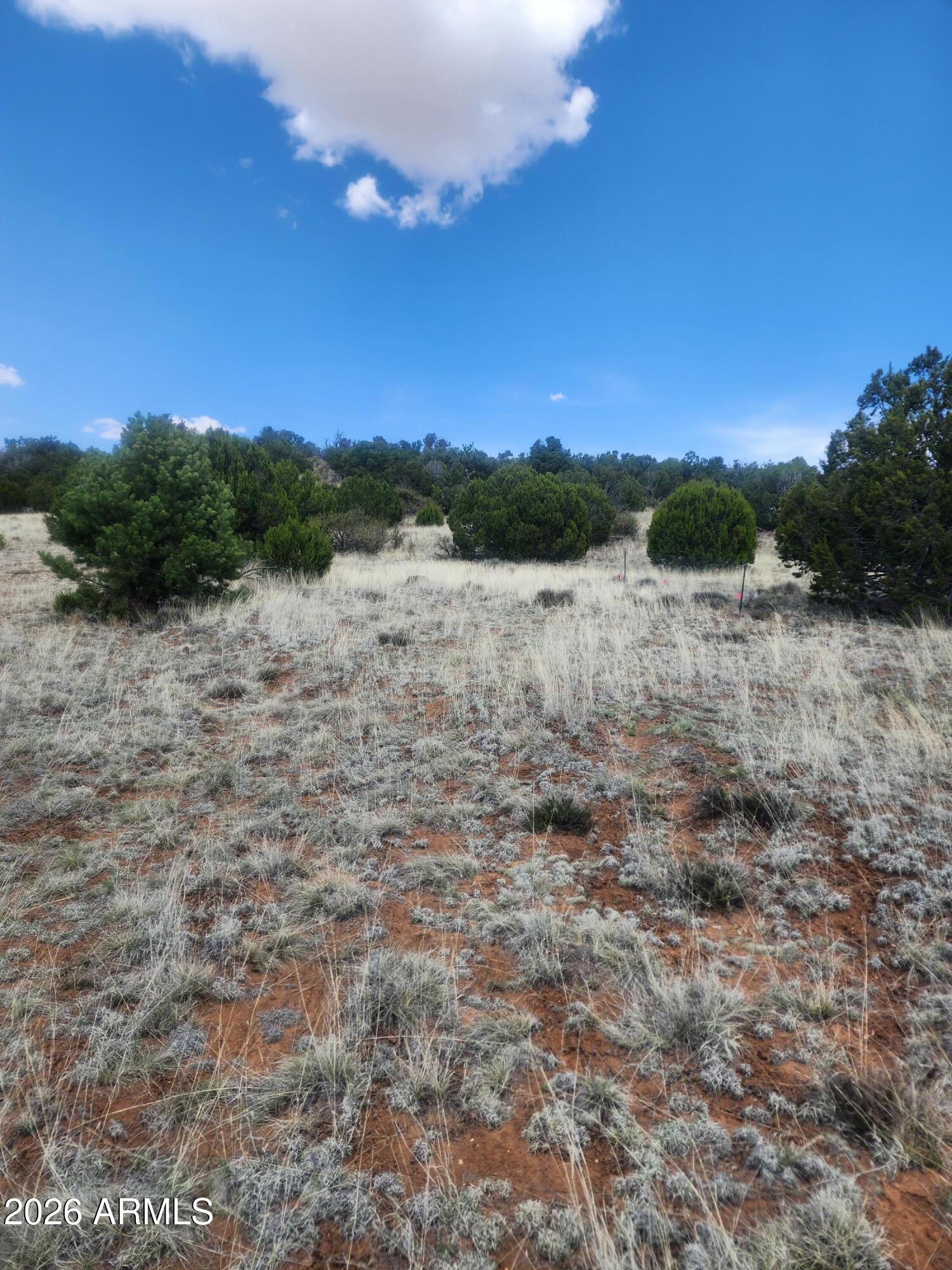 4 ACR 8410 416, Concho, AZ 85924