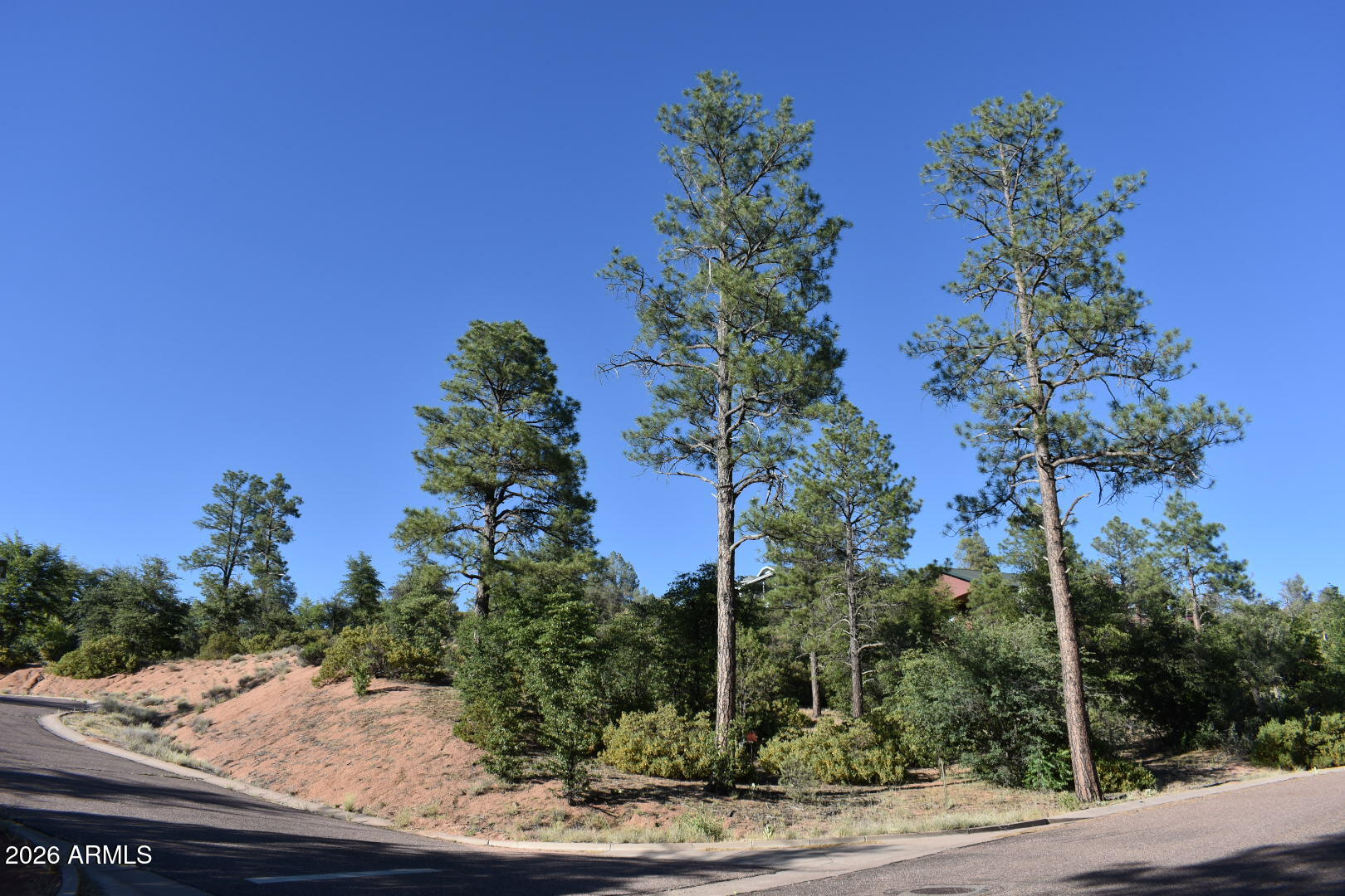 LOT 19 E PINE RIDGE Drive 19, Star Valley, AZ 85541