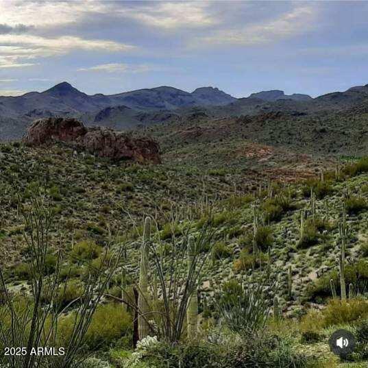 004K E Hardt Tank Road 004K, Queen Valley, AZ 85118