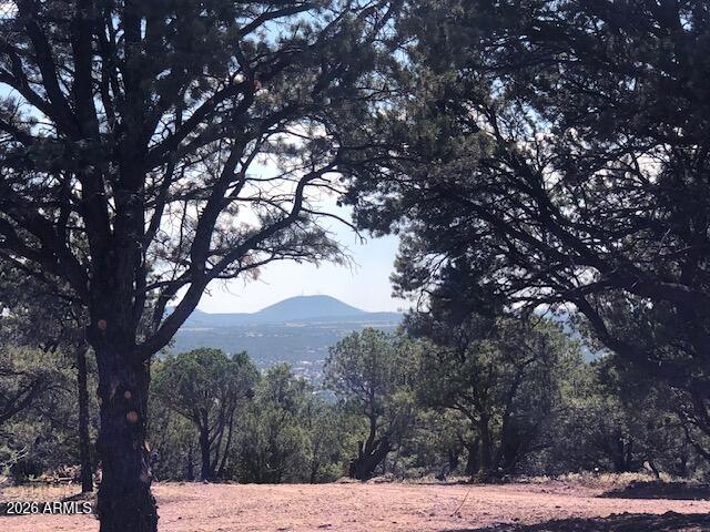 Lot 20 Mountain Pine Road 20, Vernon, AZ 85940