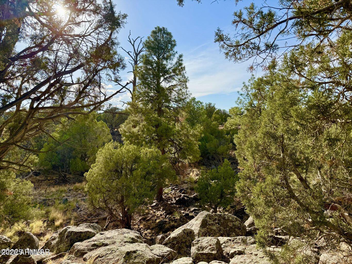 1838 Rocky Bottom Place -, Show Low, AZ 85901