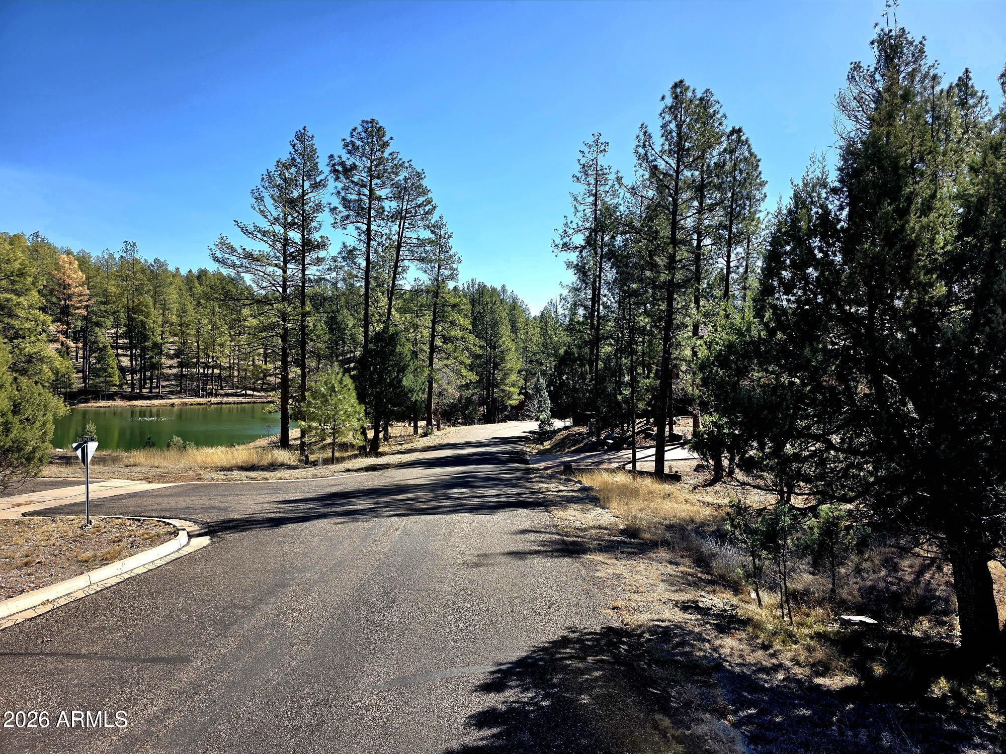 122 S HUNTER CREEK Drive 122, Payson, AZ 85541