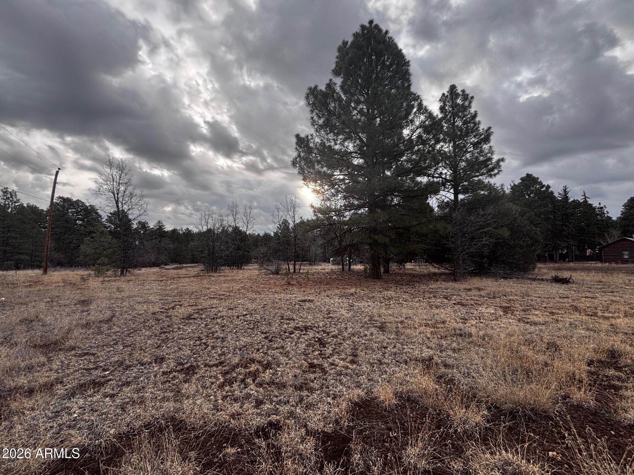 21230027B W White Mountain Blvd 67B, Lakeside, AZ 85929