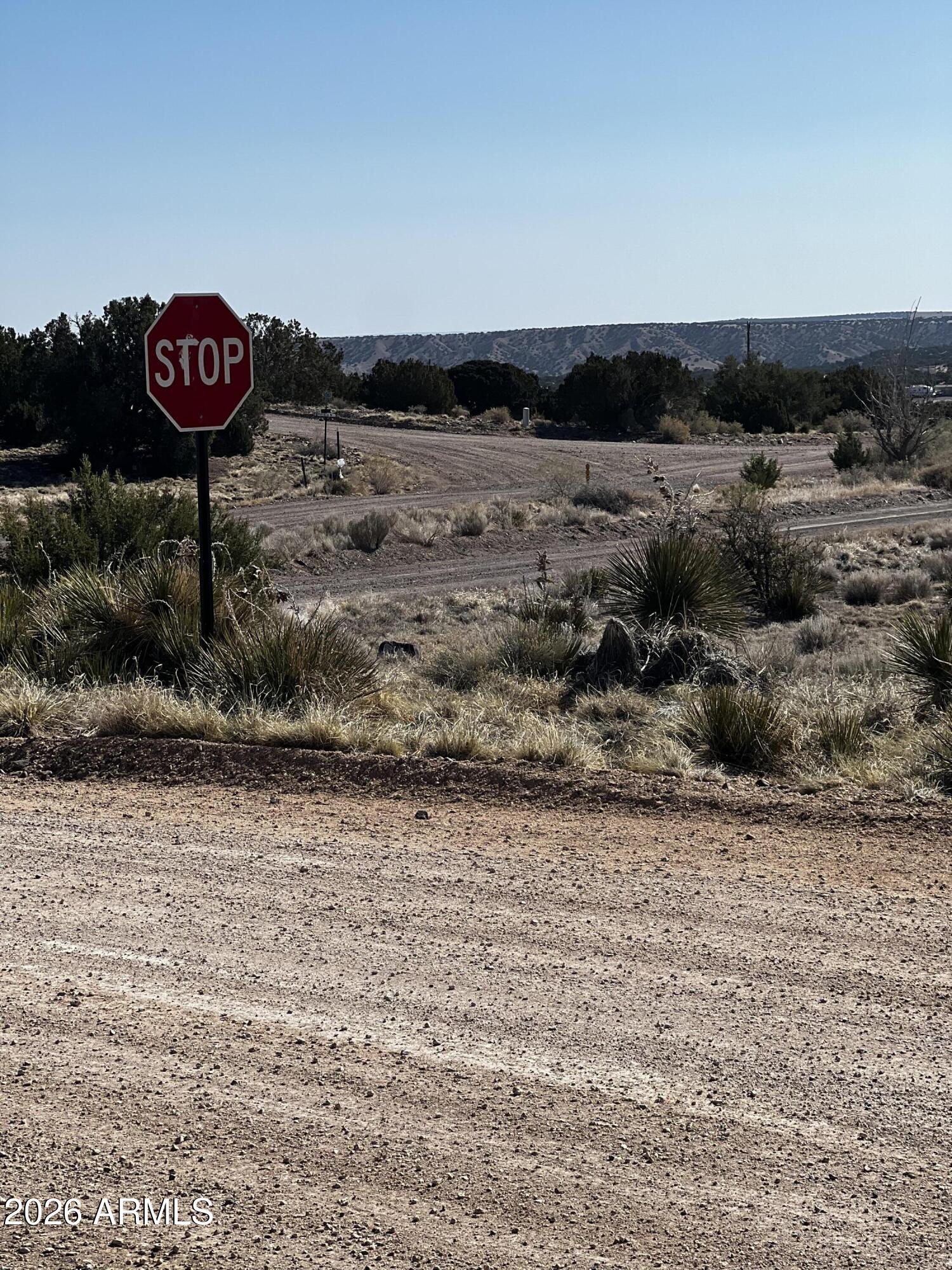 60 Short Lane 207A, Concho, AZ 85924