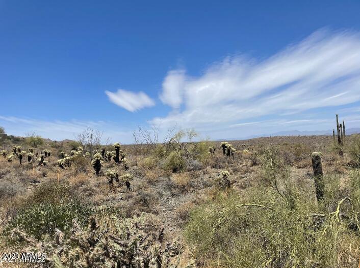 14252 E ZORRA Way 100, Fountain Hills, AZ 85268