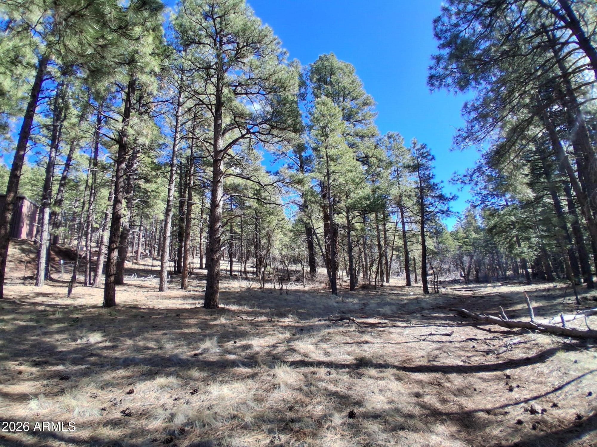13696 E KINGS DEER Road -, Parks, AZ 86018