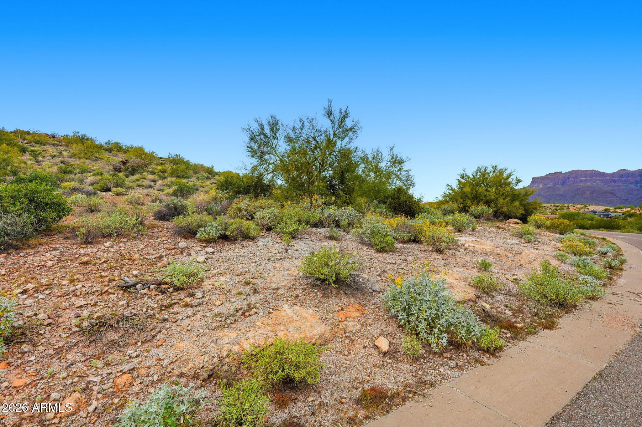 3672 S VISTA Loop 12, Gold Canyon, AZ 85118
