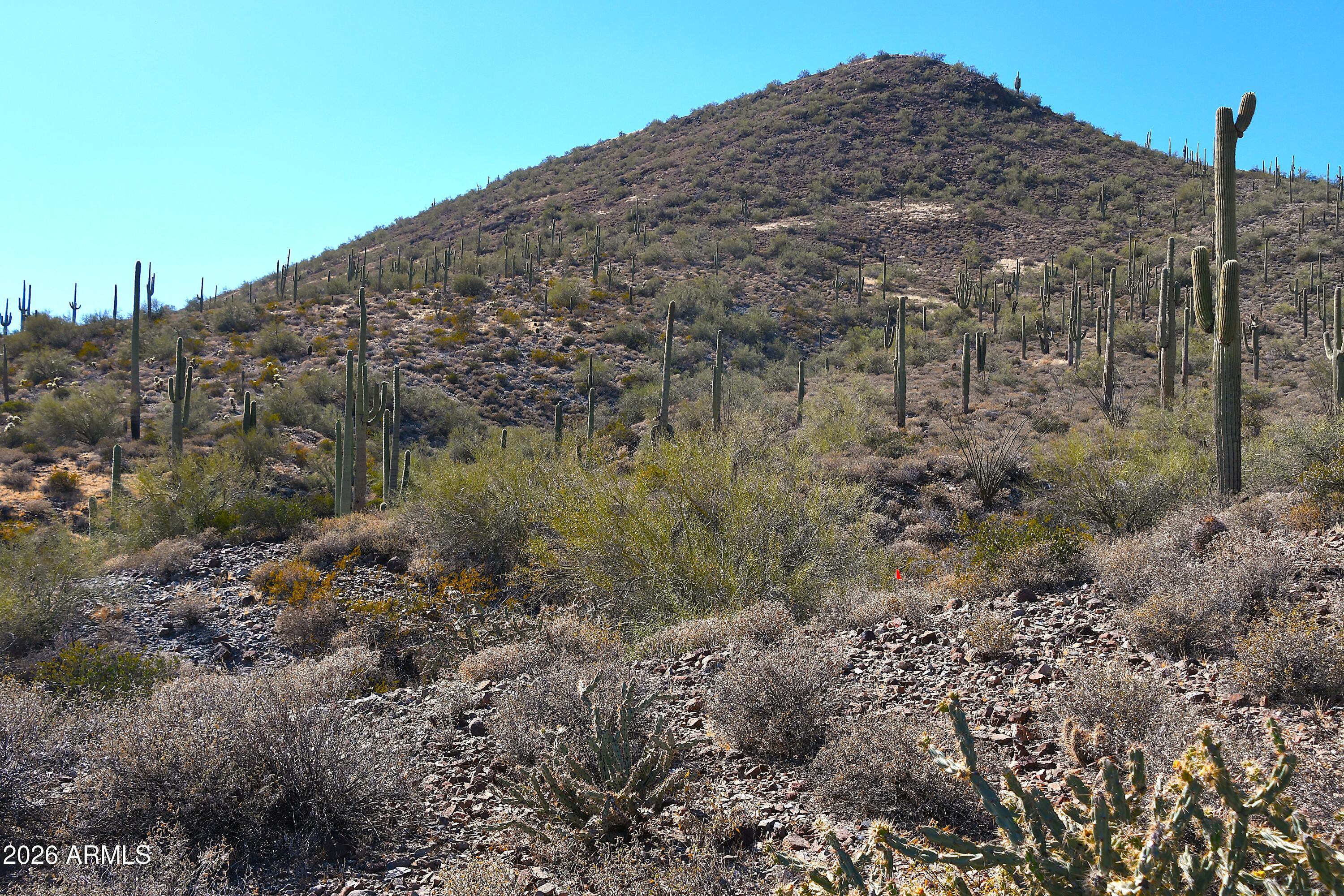 7XXX N 80th Street '-', Cave Creek, AZ 85331