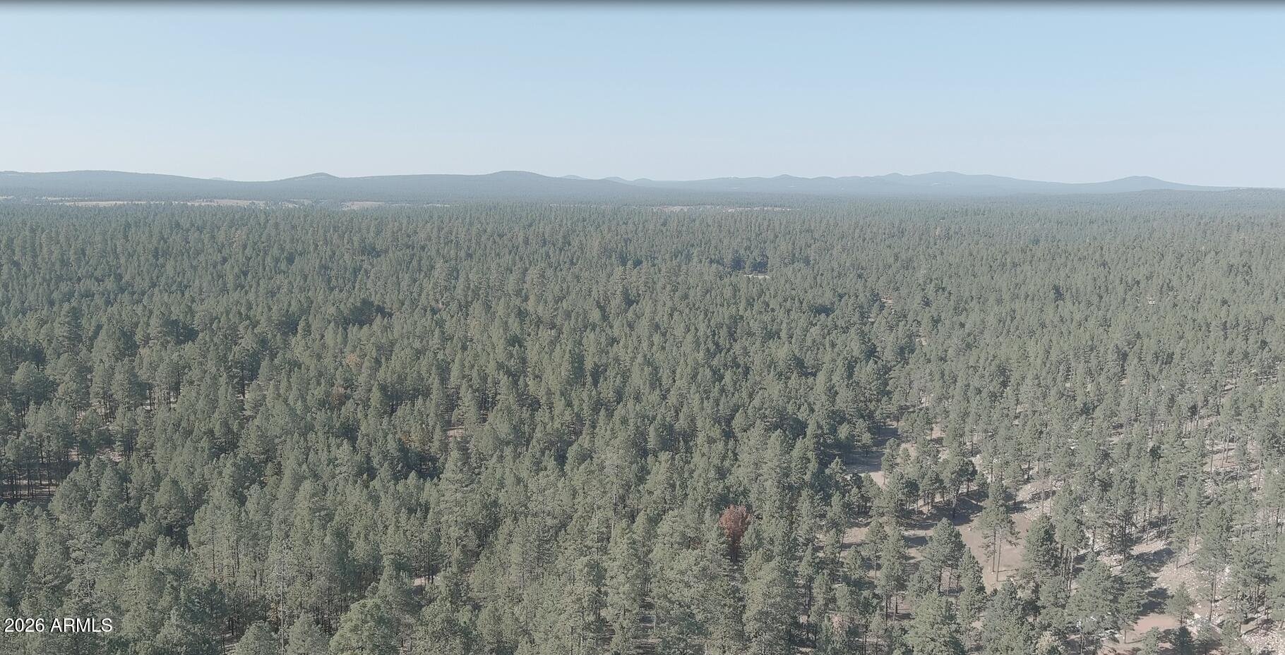 7800 Forest Service 122 Rd-Tract 9B 9-B, Happy Jack, AZ 86024