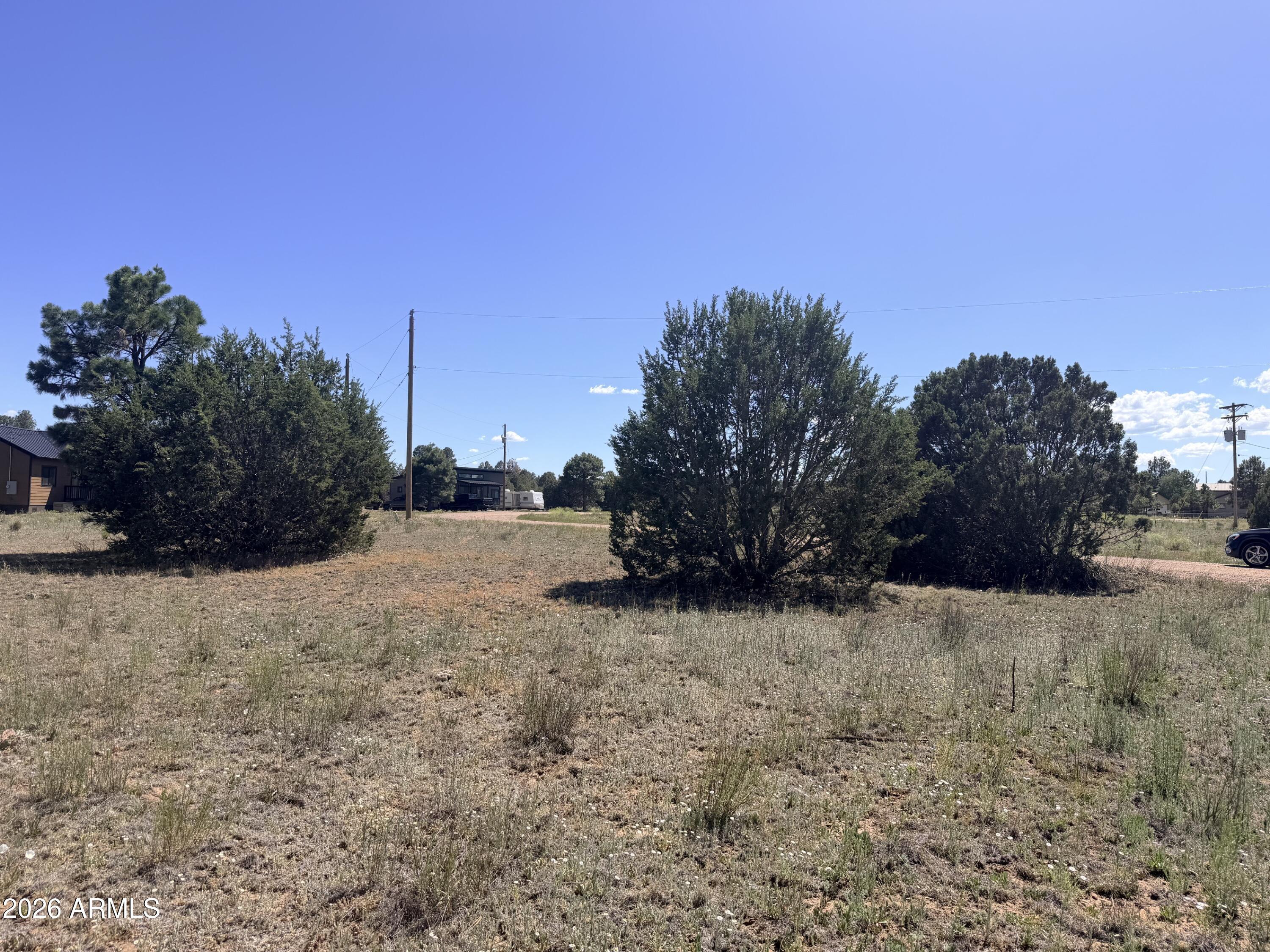 2287 MEADOW Lane 165, Overgaard, AZ 85933