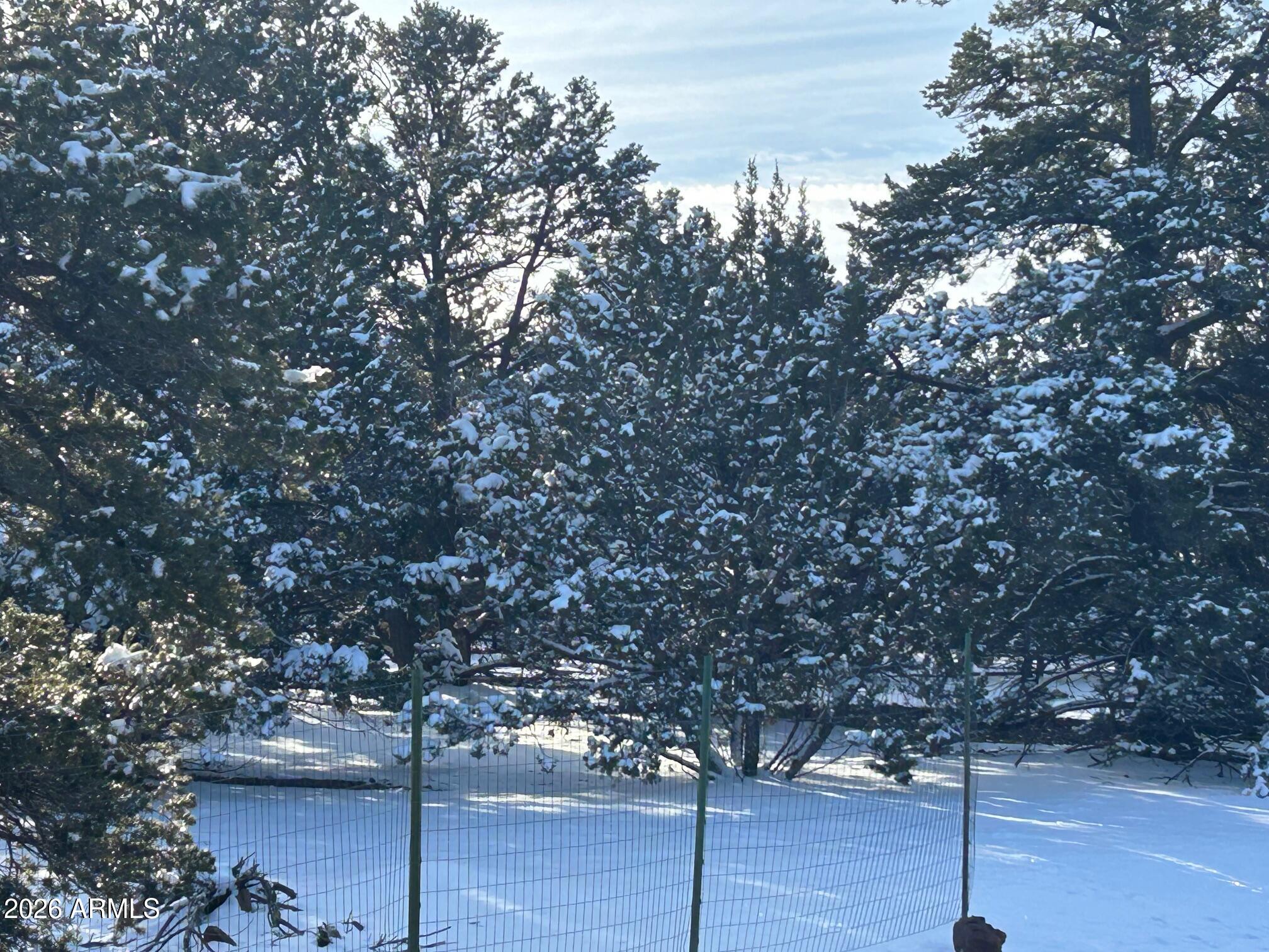 Lot 86 Ricks Road 86, Vernon, AZ 85940
