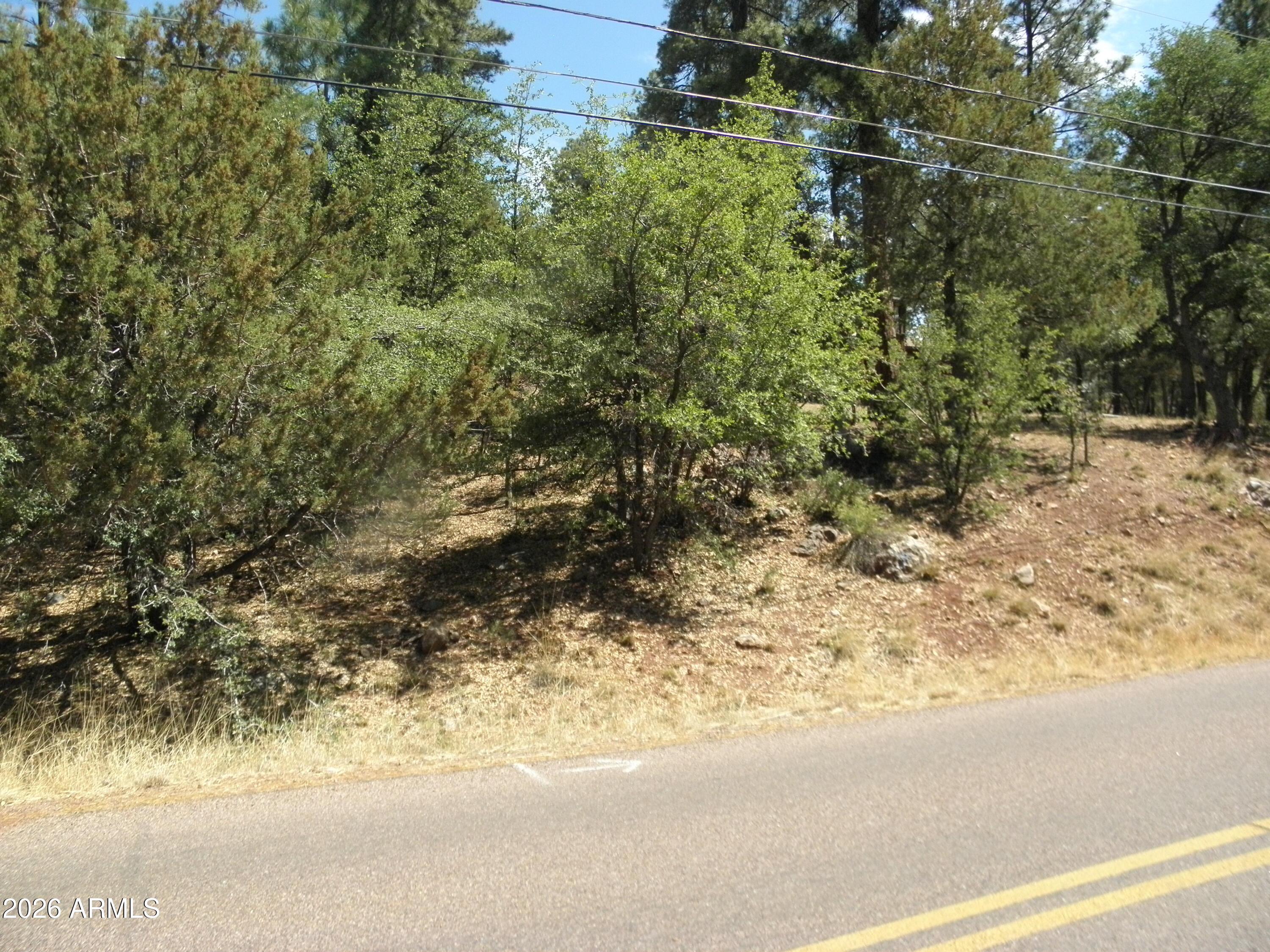 6454 W BRADSHAW Drive 116, Pine, AZ 85544
