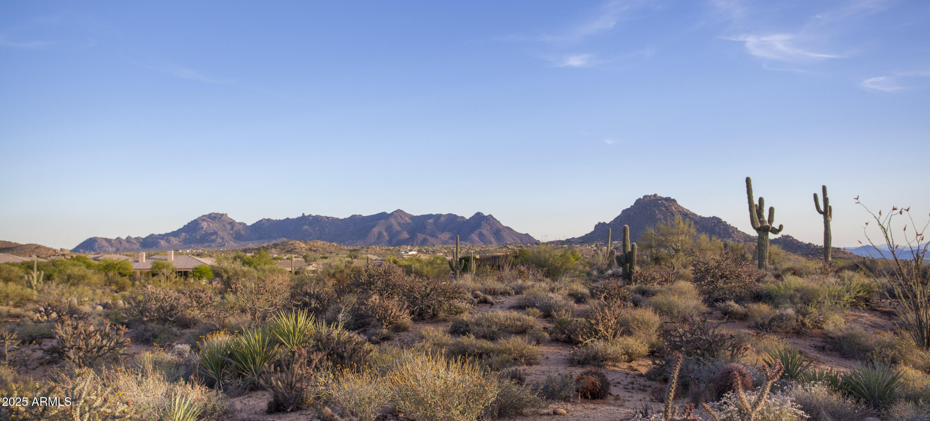 28787 N 114th Street N & P, Scottsdale, AZ 85262