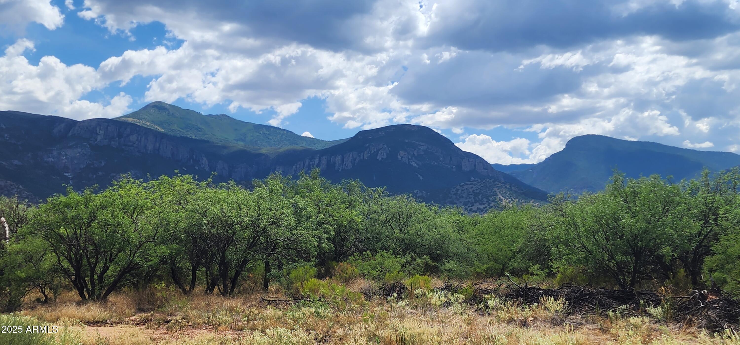 TBD E Ramsey Canyon Rd Lot D D, Hereford, AZ 85615