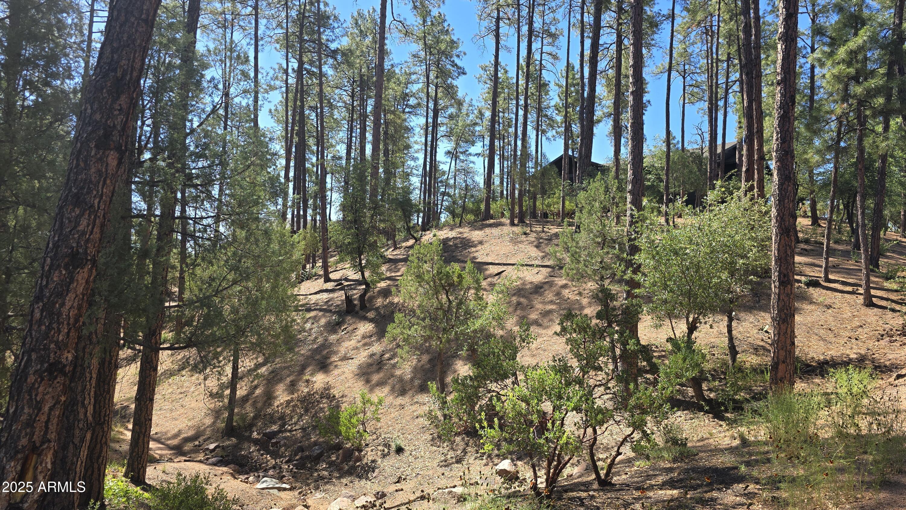 401 N Grapevine Drive 525, Payson, AZ 85541