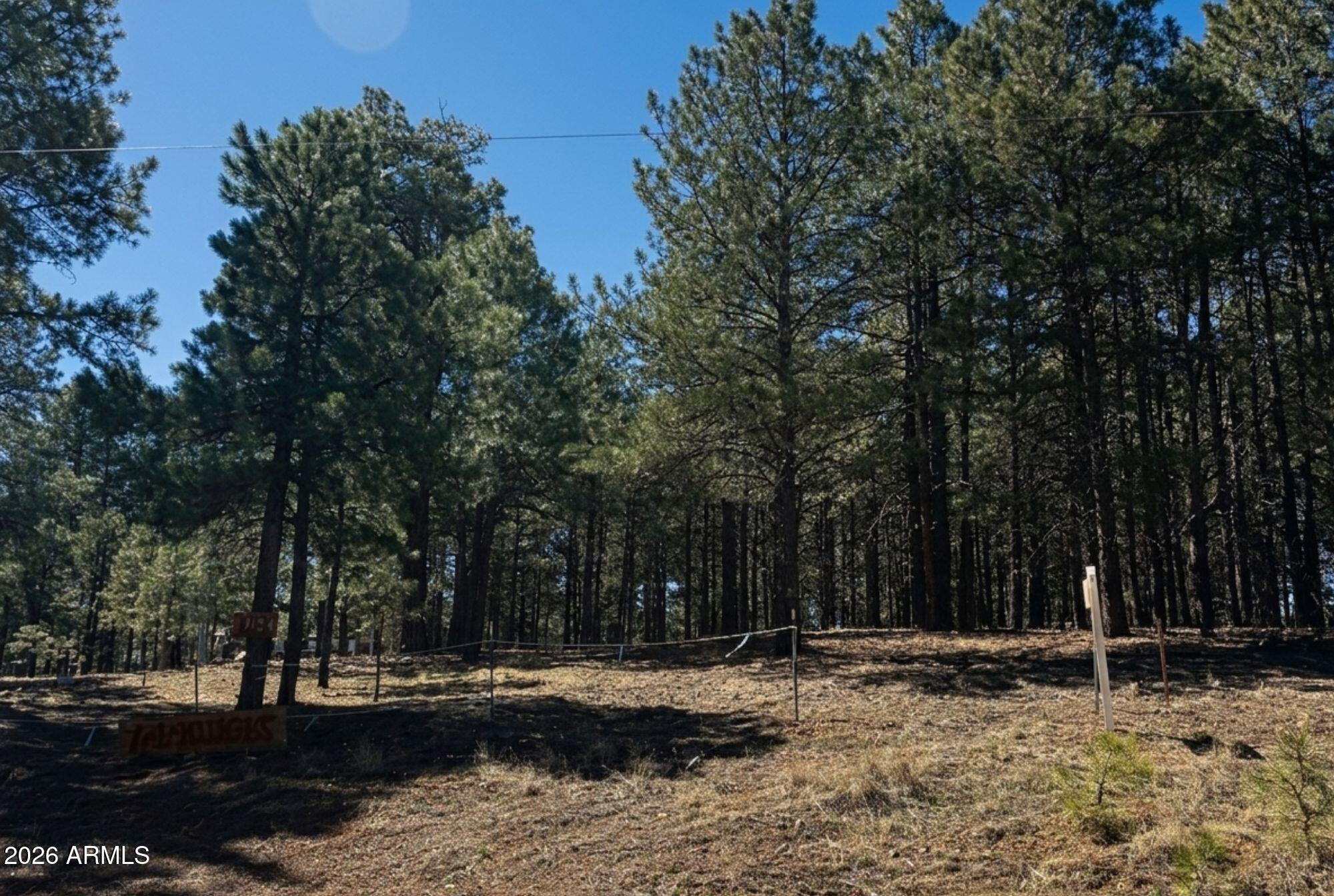1080 POND Circle 890, Forest Lakes, AZ 85931