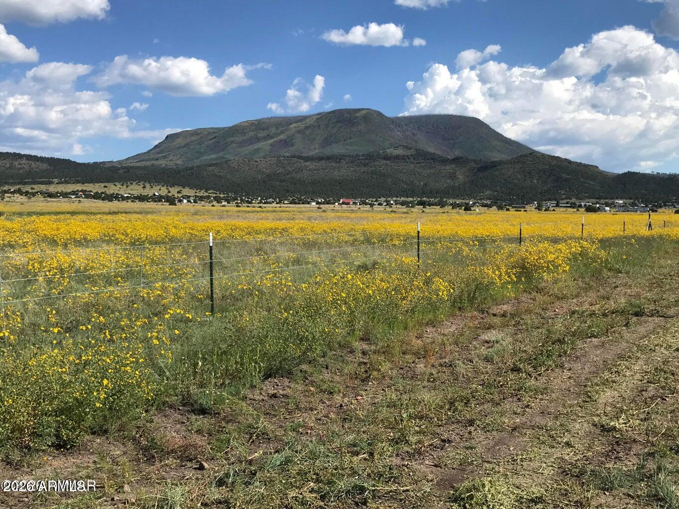 26 N CR 2009 C, Nutrioso, AZ 85932
