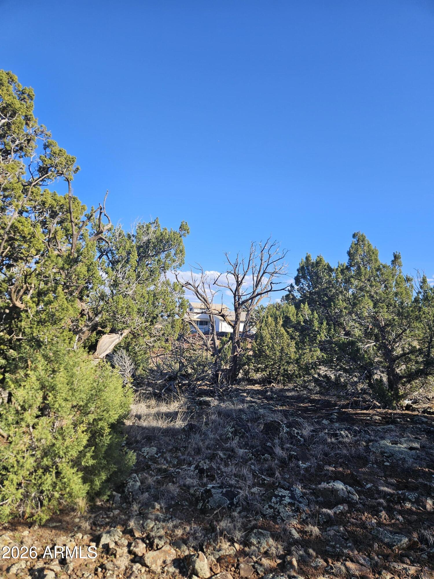 1856 Rainbow Circle -, Show Low, AZ 85901