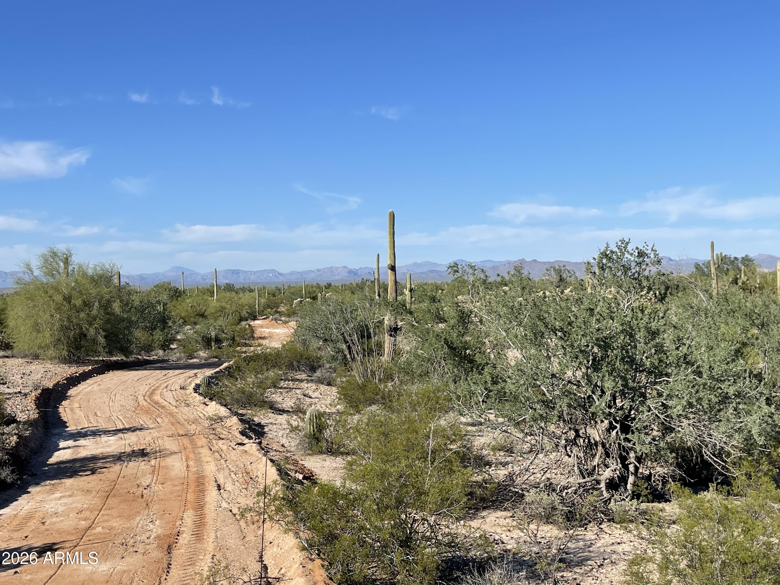 5AC N GUNSIGHT Lane, Florence, AZ 85132