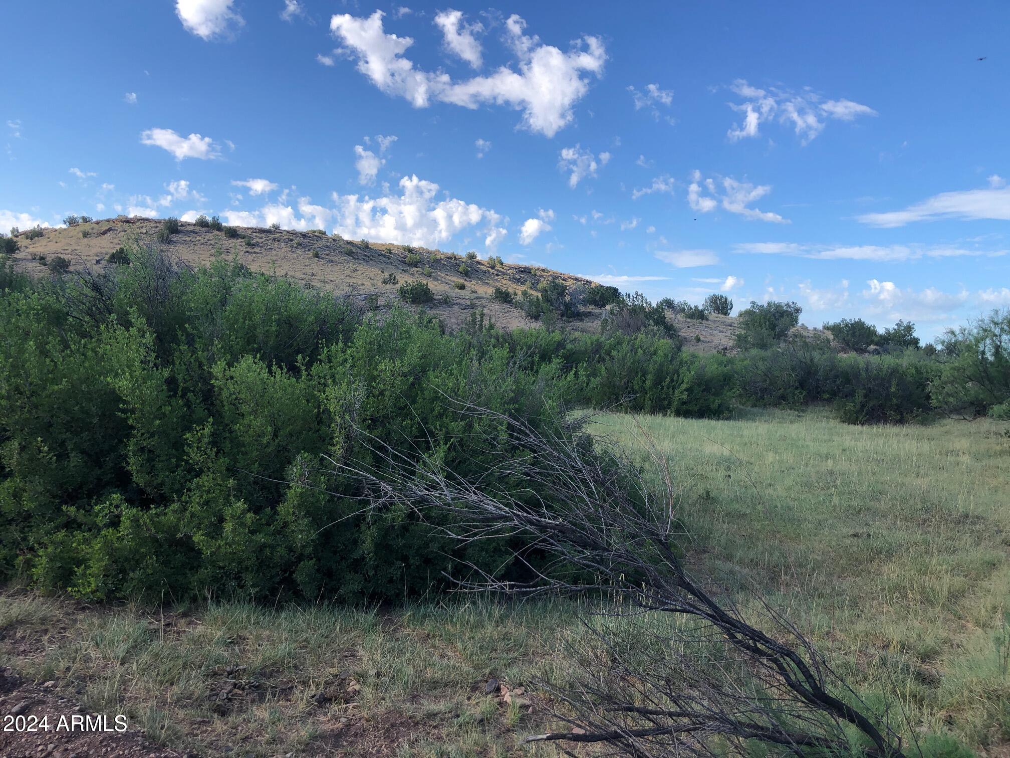 100 River Springs Ranch 100, St Johns, AZ 85936