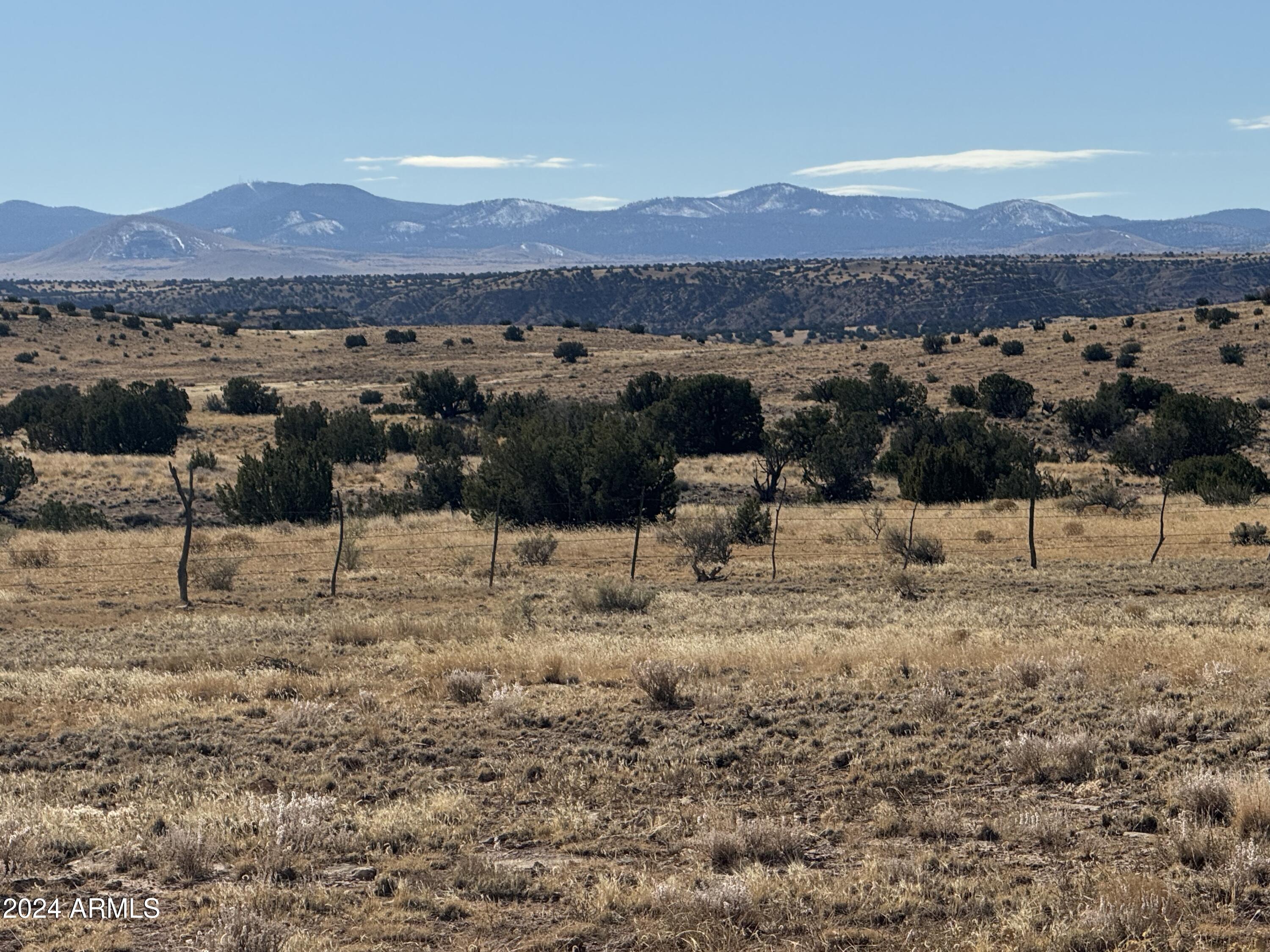 334 River Springs Ranch 334, St Johns, AZ 85936