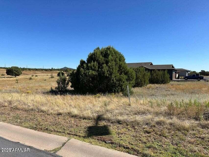 681 S ROCK RIDGE Drive 87, Show Low, AZ 85901