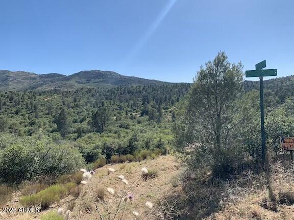 17545 W BUCKHORN Drive 1, Kirkland, AZ 86332