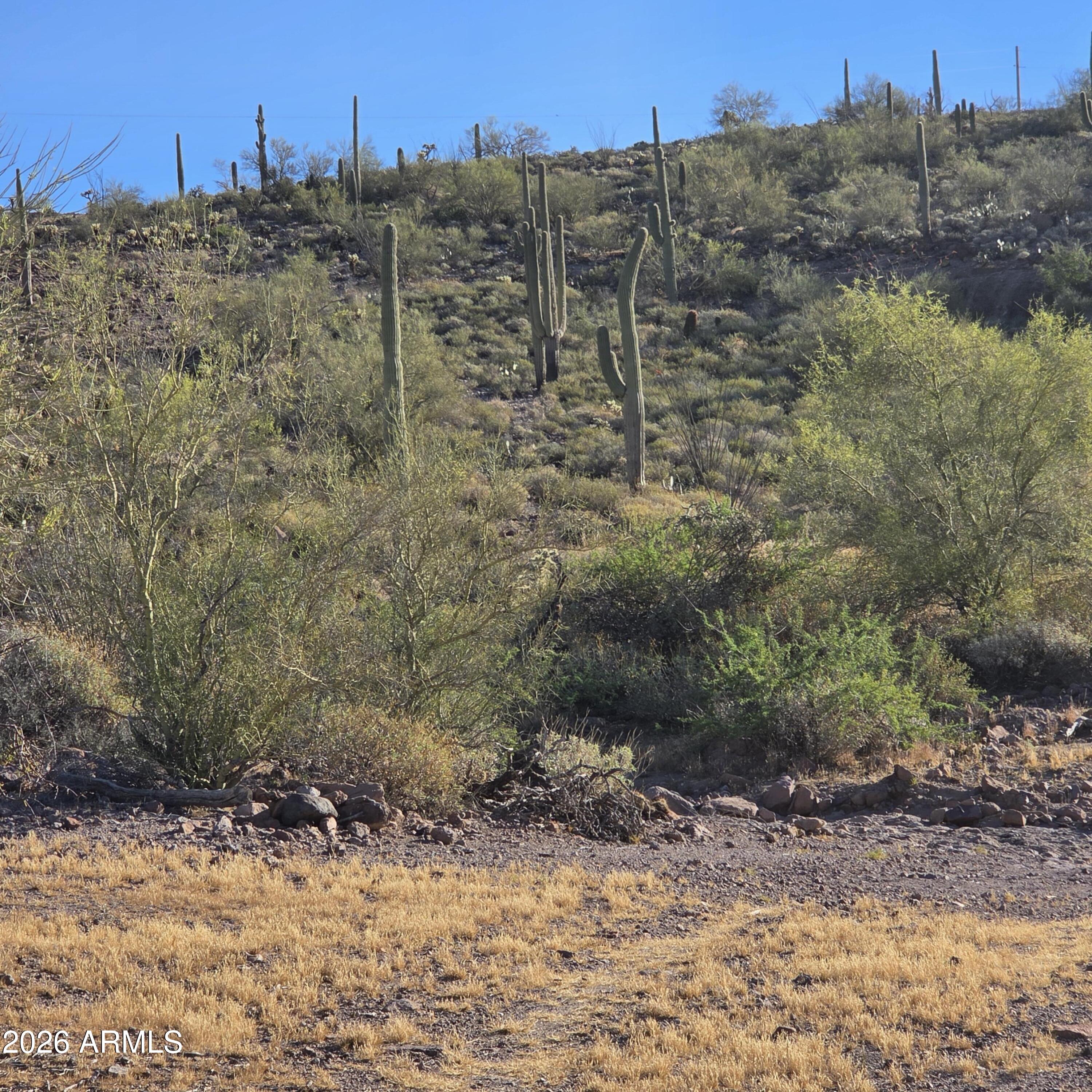 0 Elephant Butte -, Queen Valley, AZ 85118