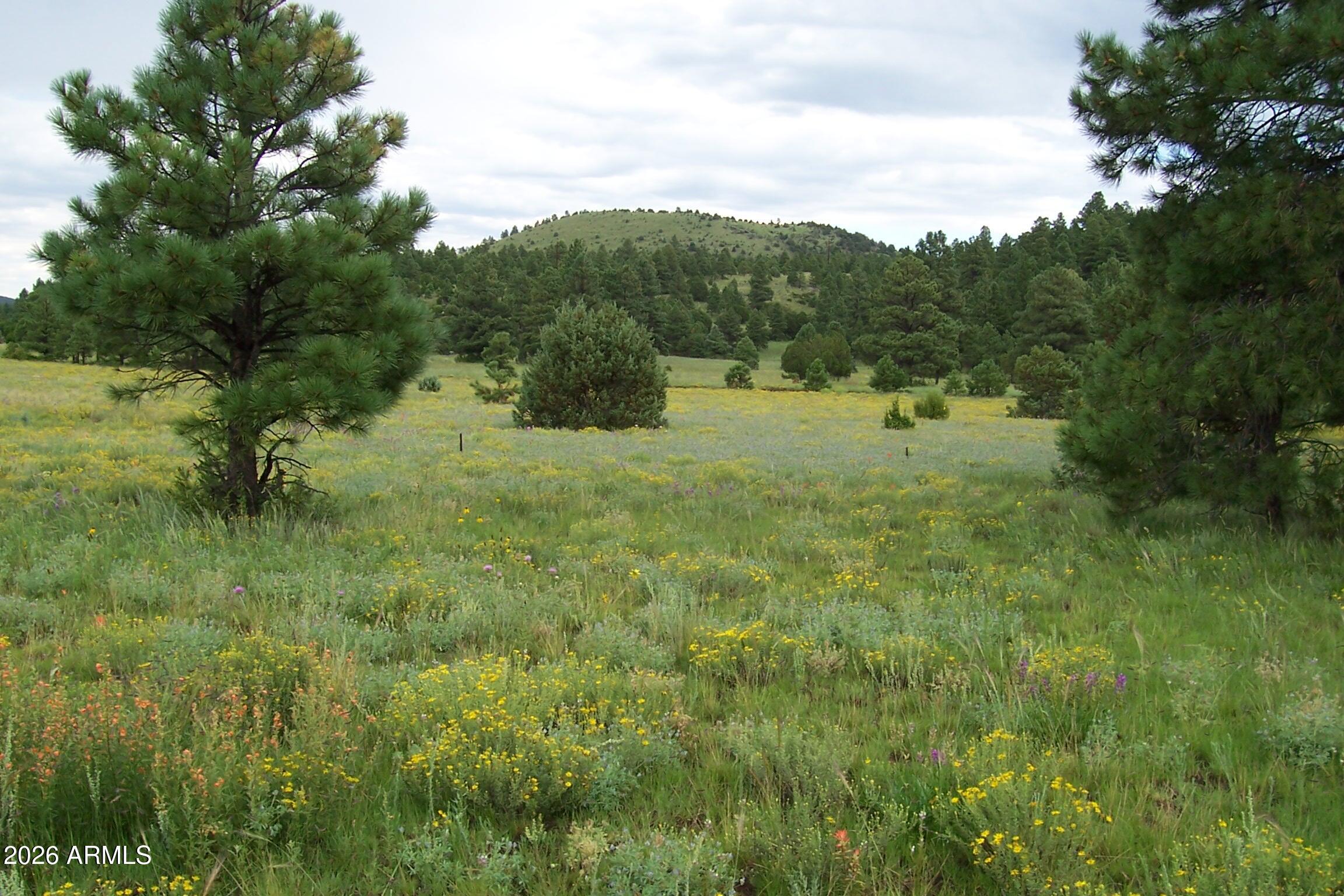 Lot 5 Red Cabin Ranch Unit II 5, Vernon, AZ 85940
