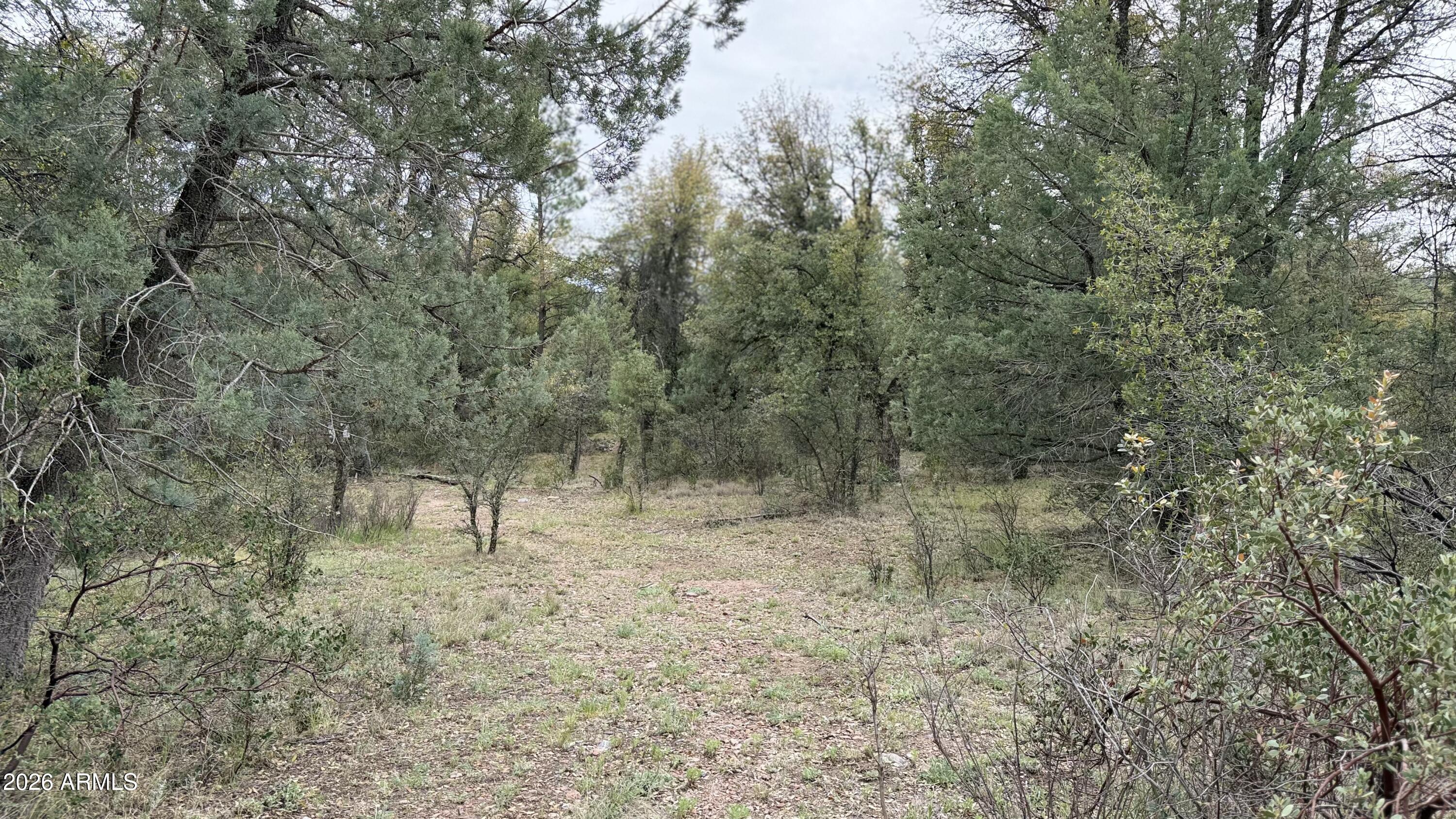 117 N Rifle Barrel Road 41, Young, AZ 85554