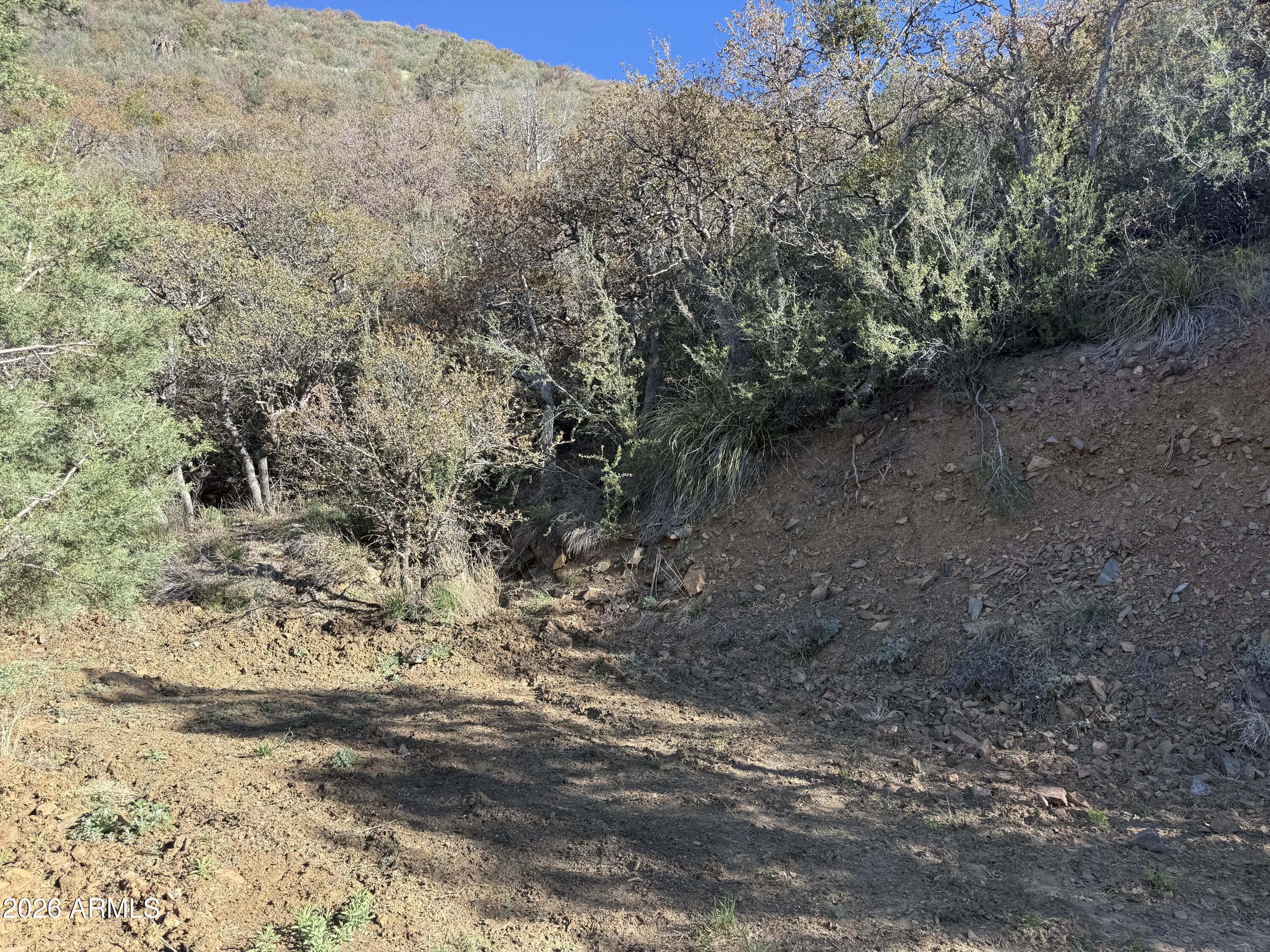 22550 S GLADIATOR MINE Road -, Crown King, AZ 86343