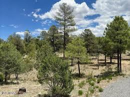 3372 WHISPER Lane 153, Heber, AZ 85928