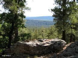 3378 WINDY Lane 139, Heber, AZ 85928