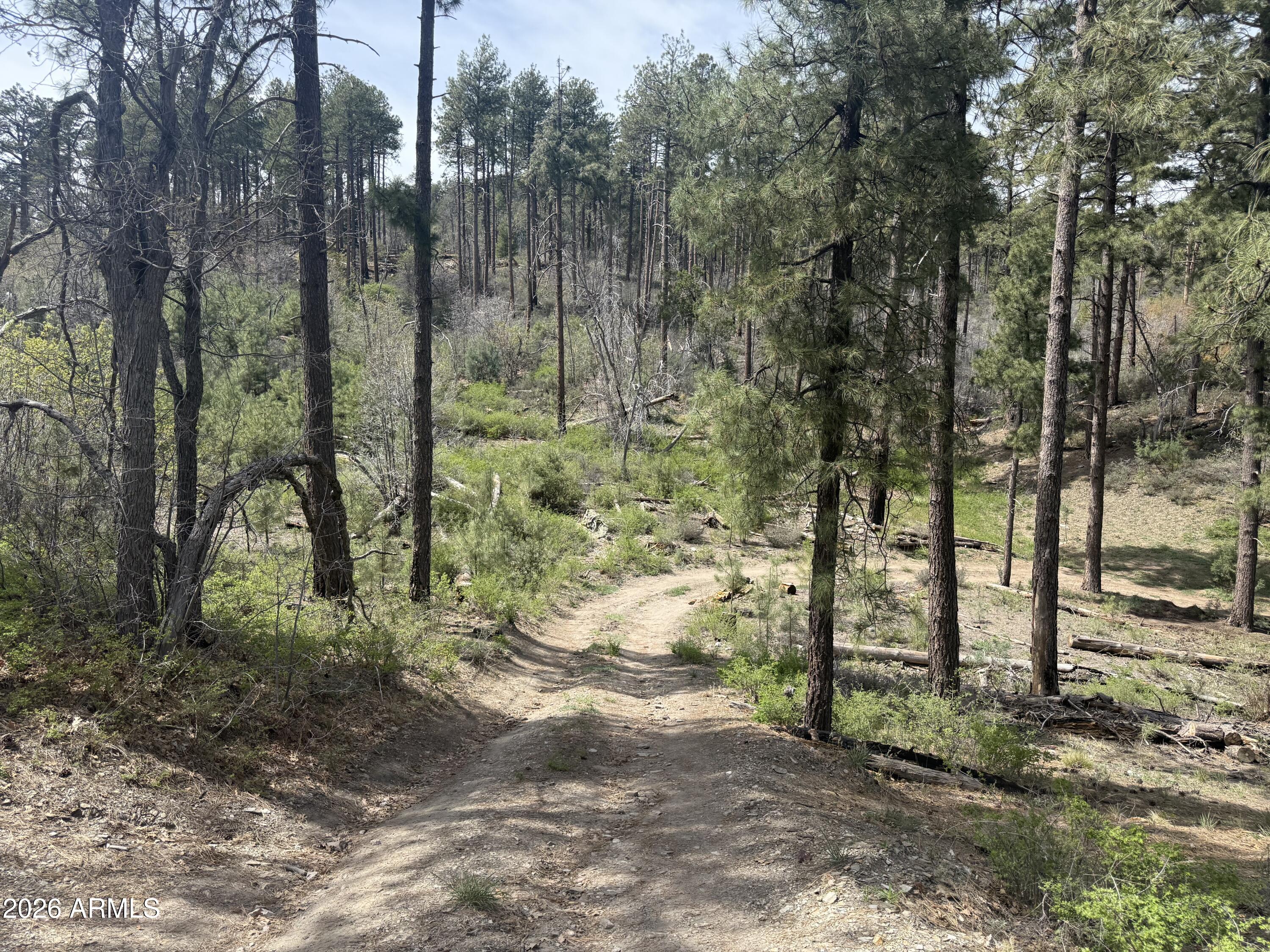 00 E WILD FLOWER Road -, Crown King, AZ 86343