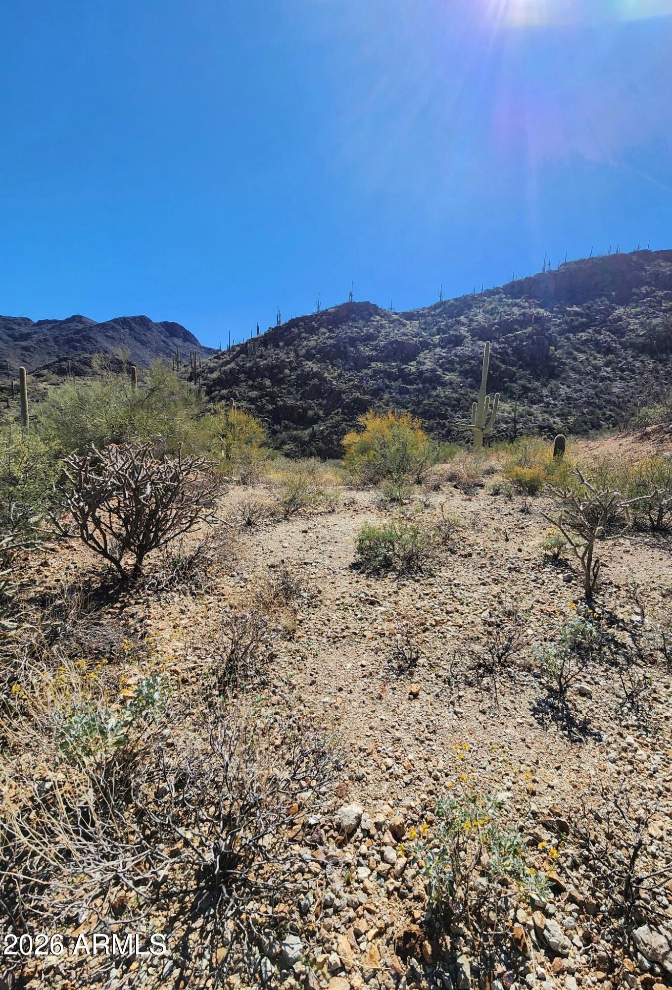 6400 W LOST CANYON Drive 00013, Tucson, AZ 85745