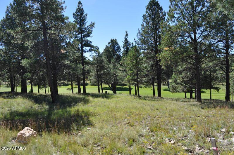 2900 S Solitaires Canyon Drive 345, Flagstaff, AZ 86005
