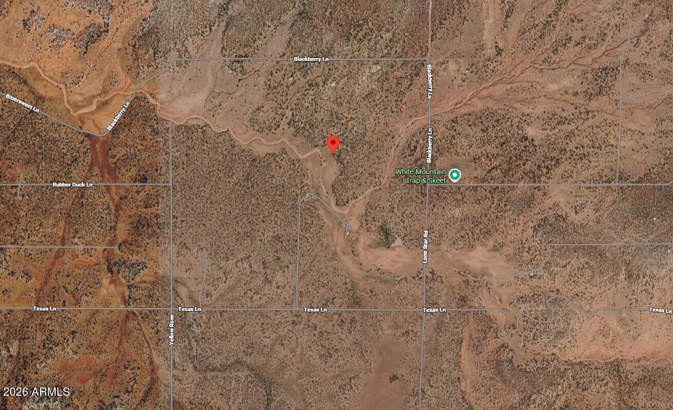 9317 BITTERSWEET Lane 50, Show Low, AZ 85901