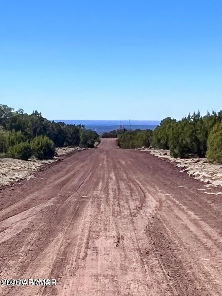 TBD Co Rd 8307 Lot 100 -, Concho, AZ 85924