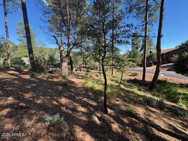 lot 33 Sage Court 33, Pine, AZ 85544