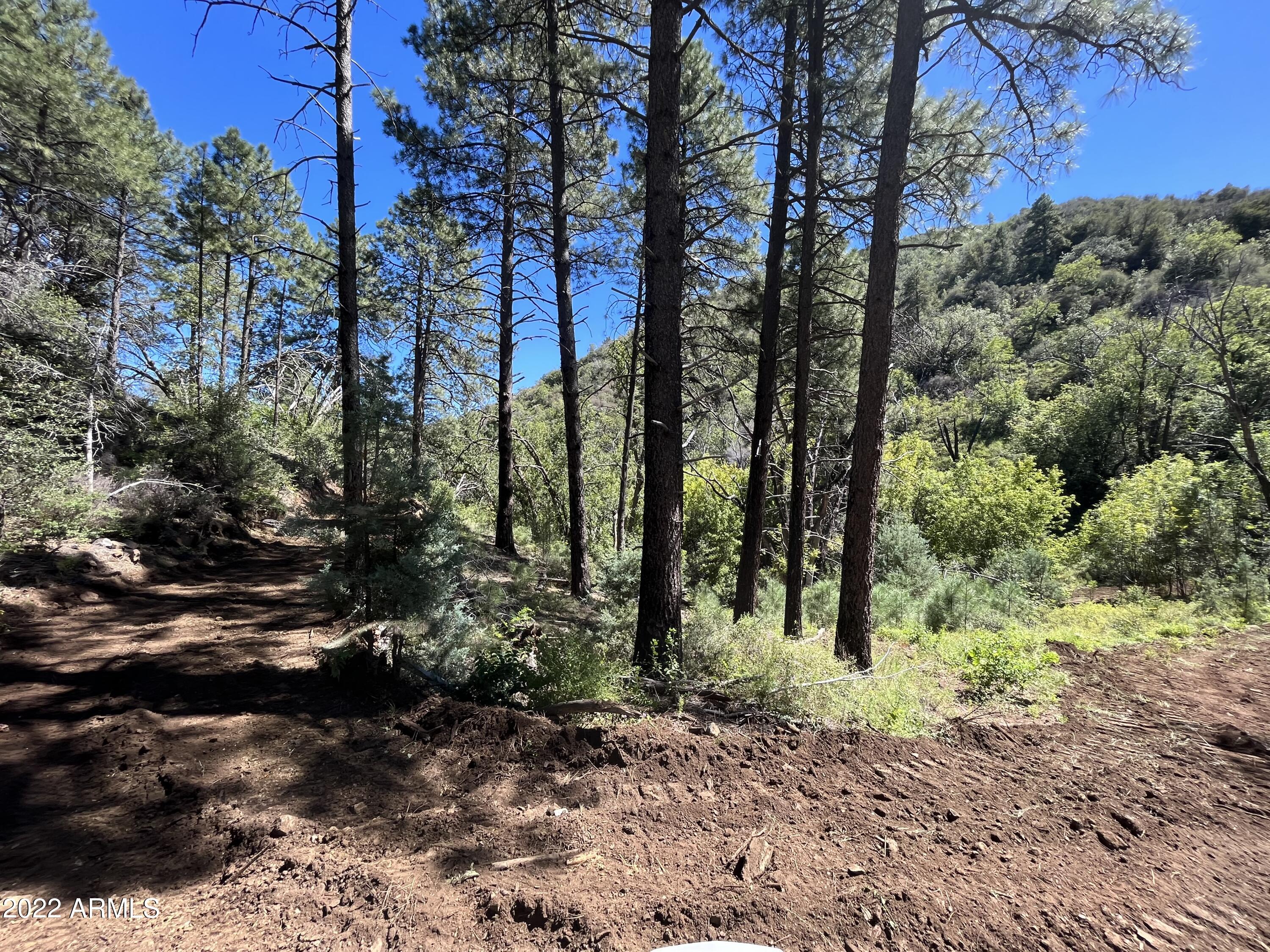 00 S Alexandra Road -, Crown King, AZ 86343