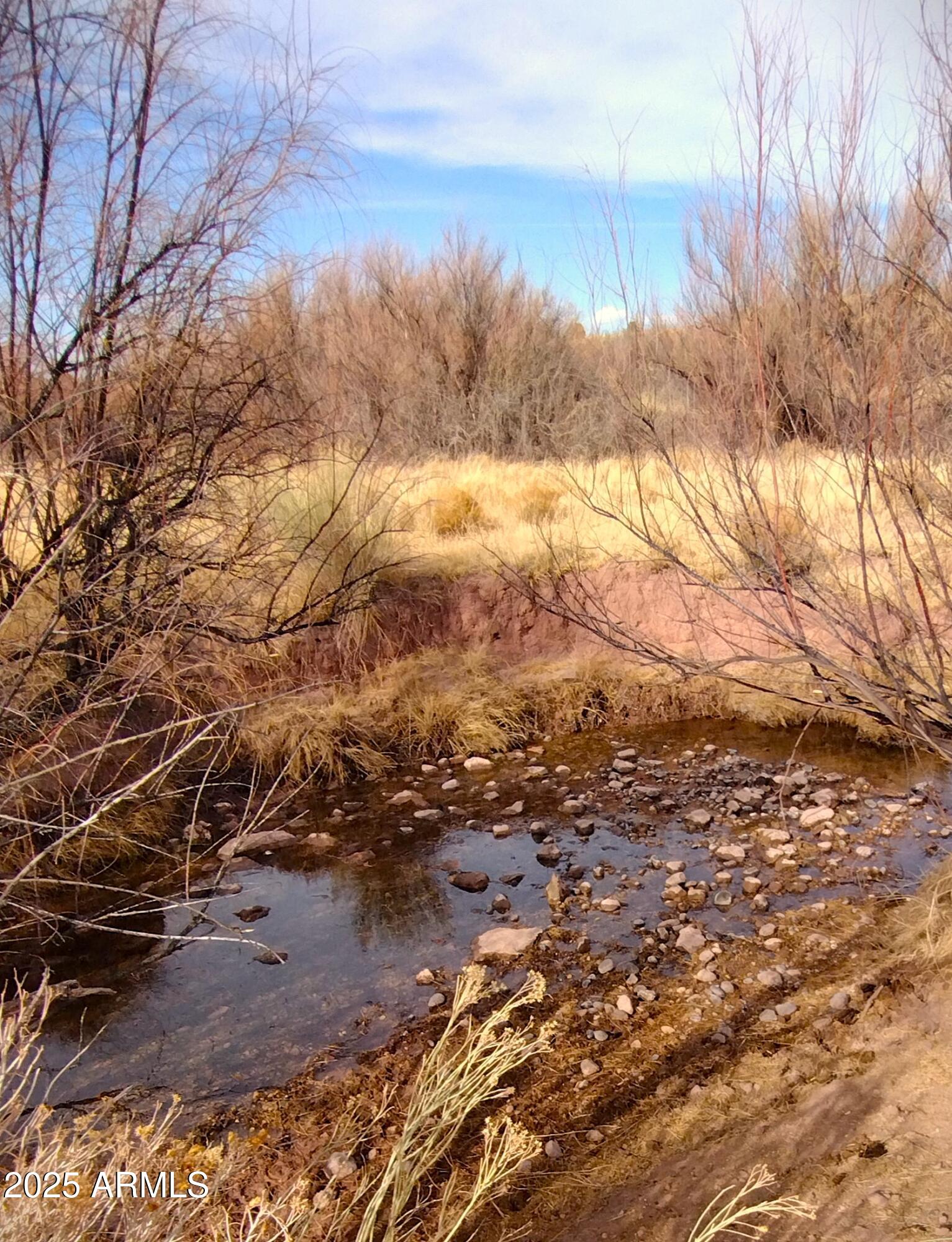 Lot 95 River Springs Ranch 095, St Johns, AZ 85936